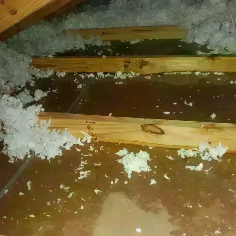 Attic Water Damage in Craig, AK