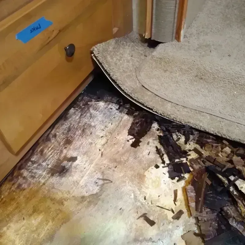 Wood Floor Water Damage in Craig, AK